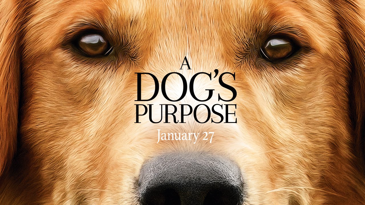 مراجعة فيلم A Dog's Purpose