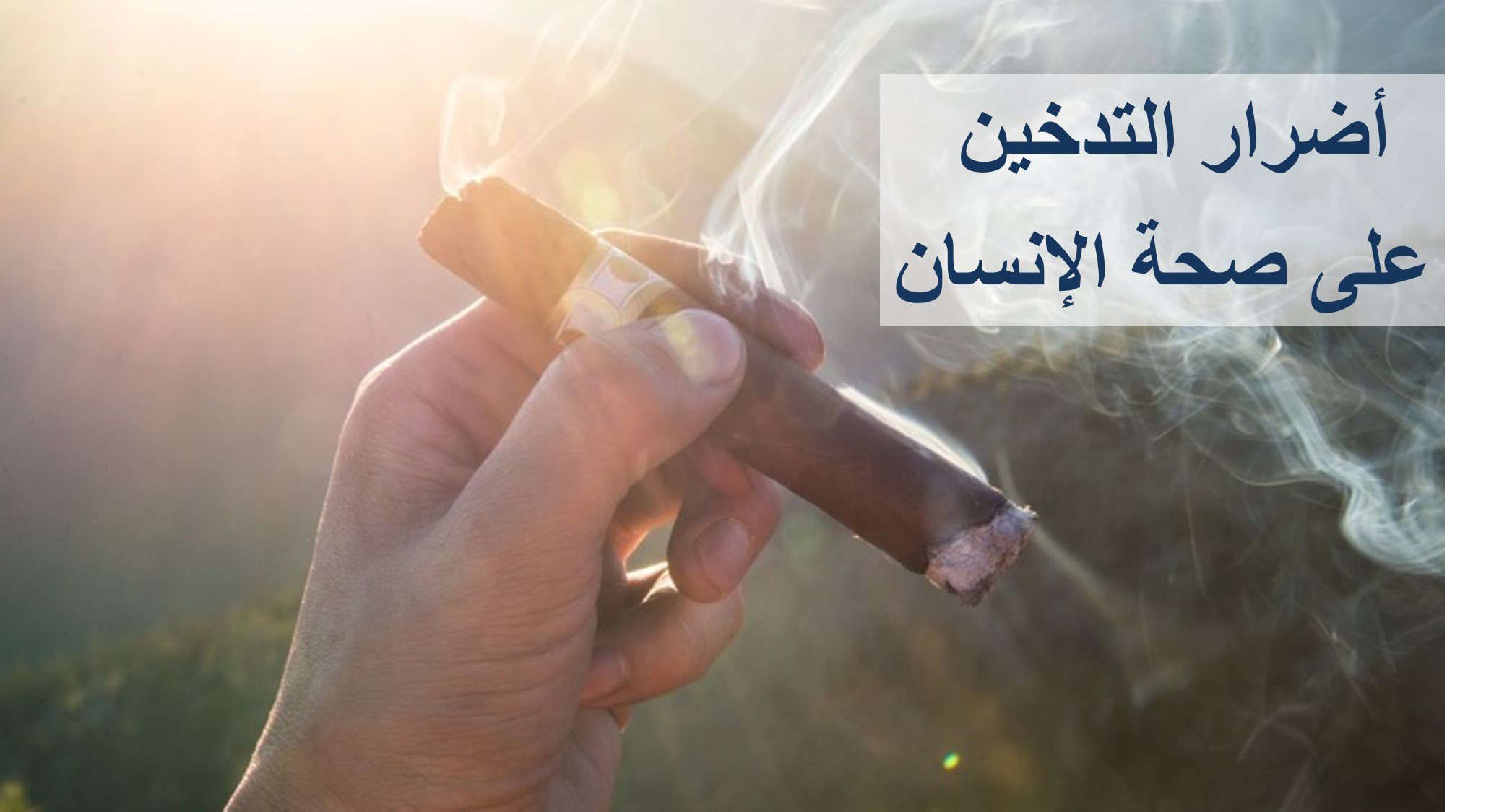 أضرار التدخين على صحة الإنسان ترندز عرب